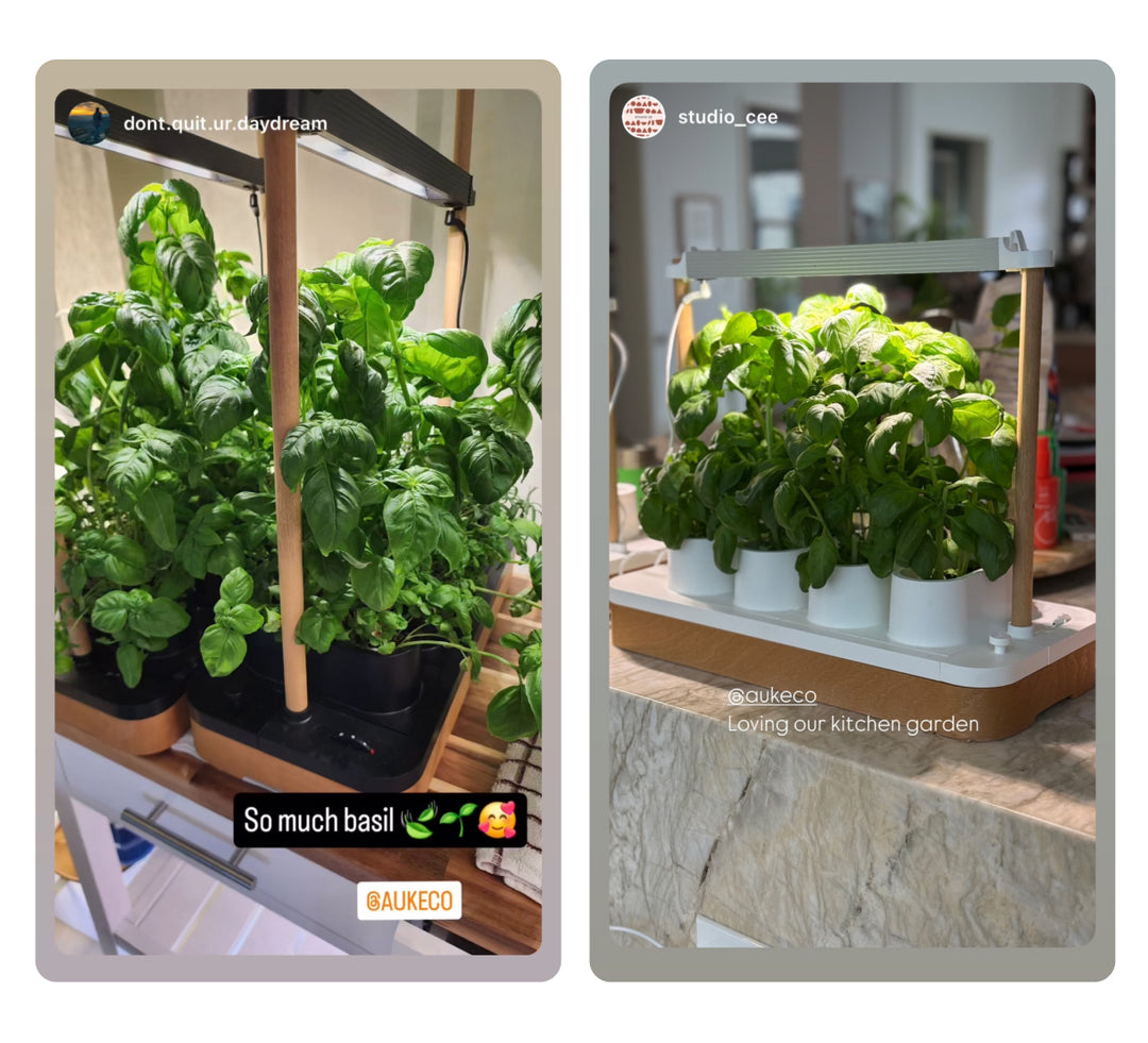 two instagram stories of auk Mini from customers