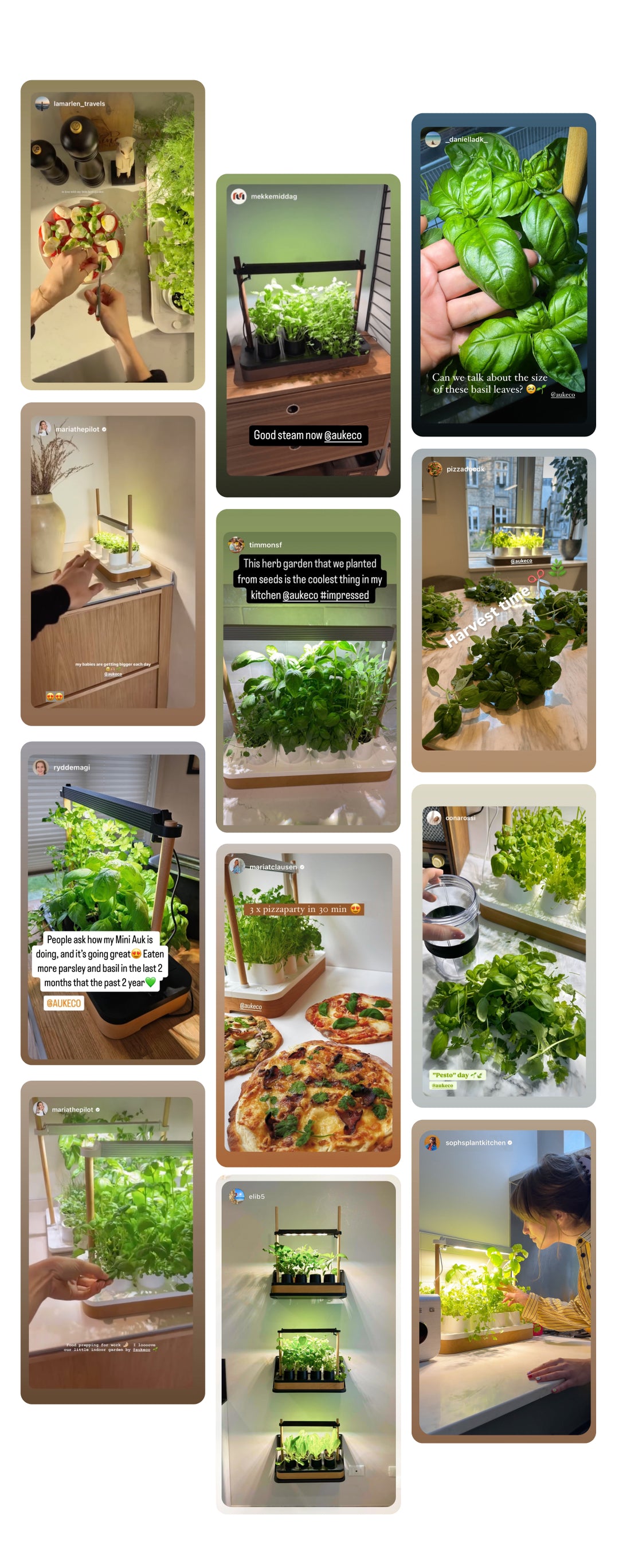 collage of customer photos of Auk for mobile
