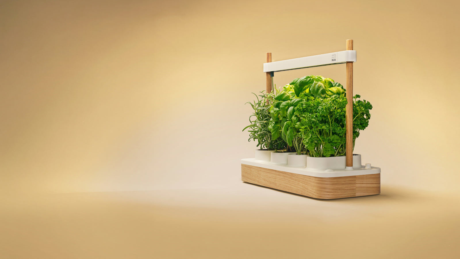 Photo · Auk Mini — big hero shot, centre stage, lush growth
