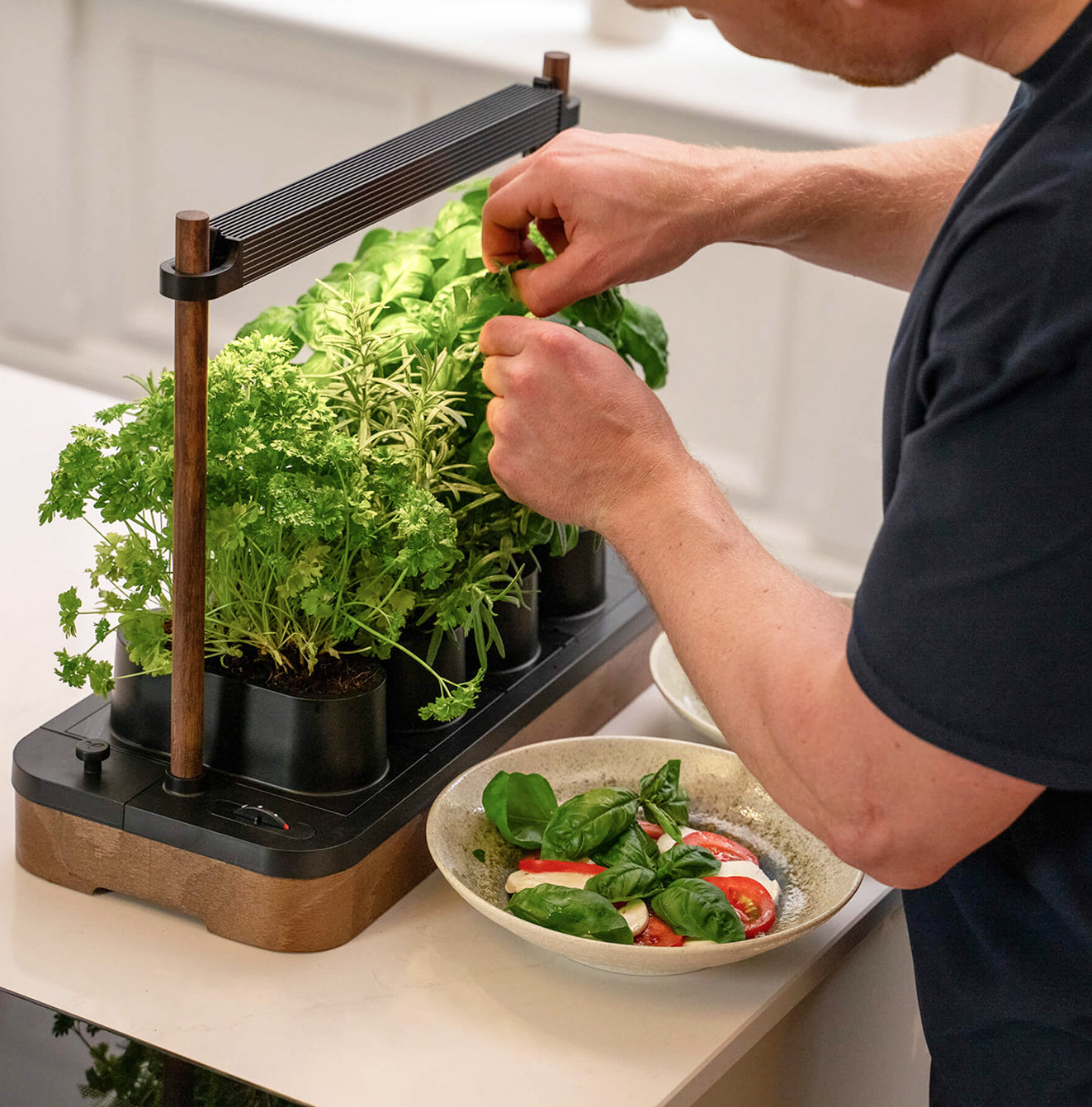 Photo · lush, overflowing growth in a Mini