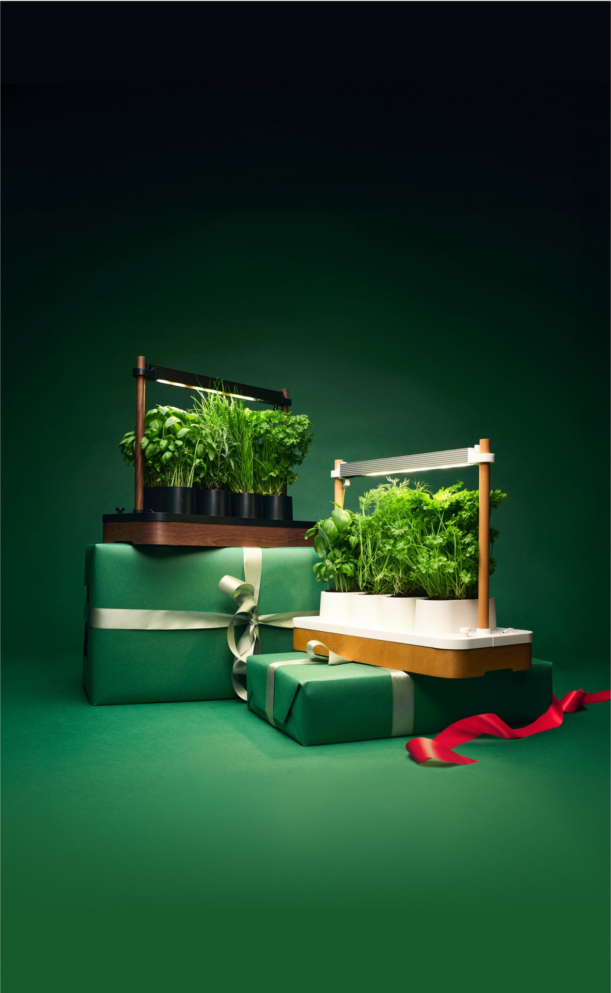 A closer look at Scandinavian Winter Indoor Herb Garden