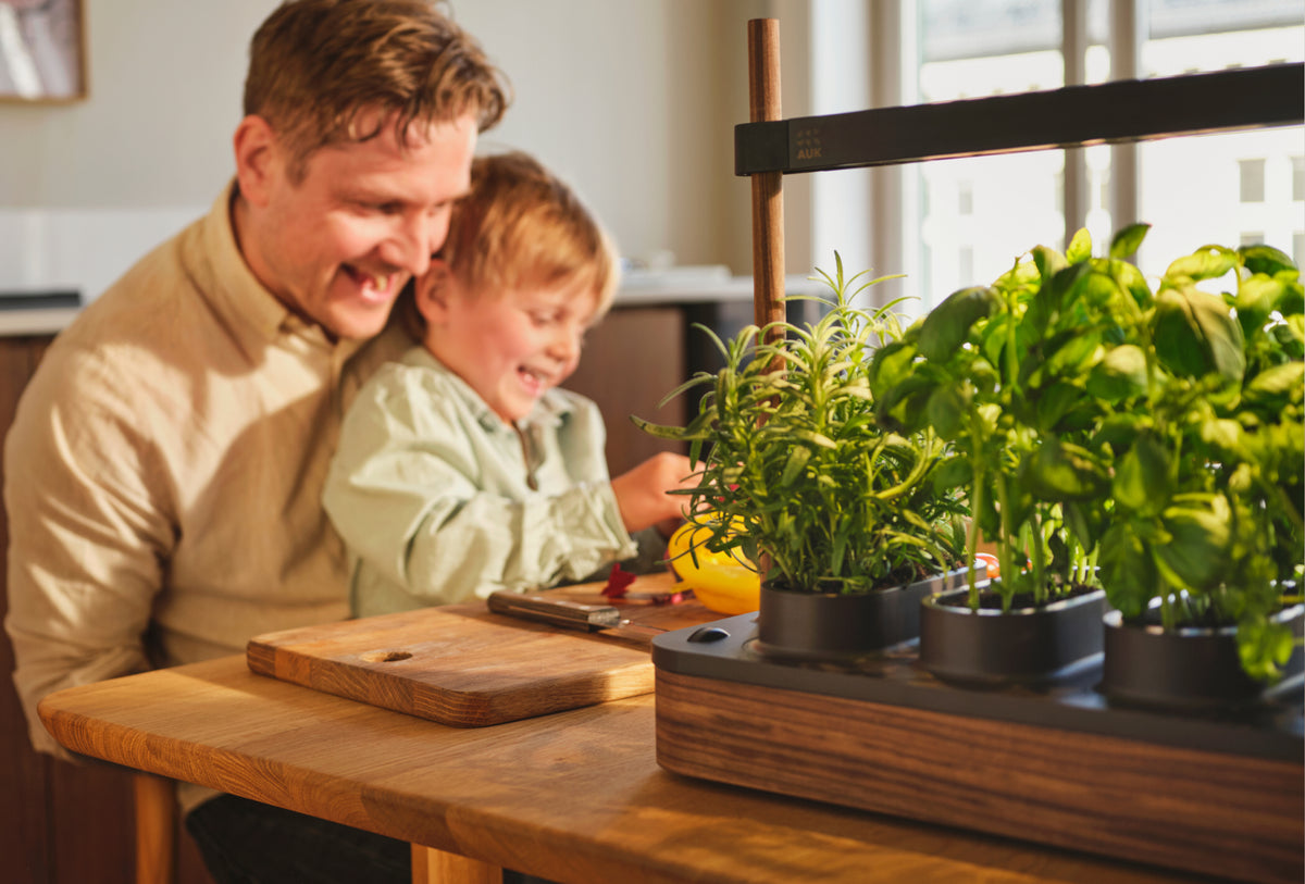 Photo · a garden thriving in a busy, lived-in kitchen