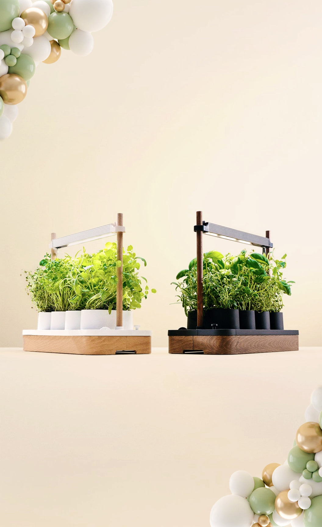 Auk | Award-winning indoor smart gardens from Scandinavia