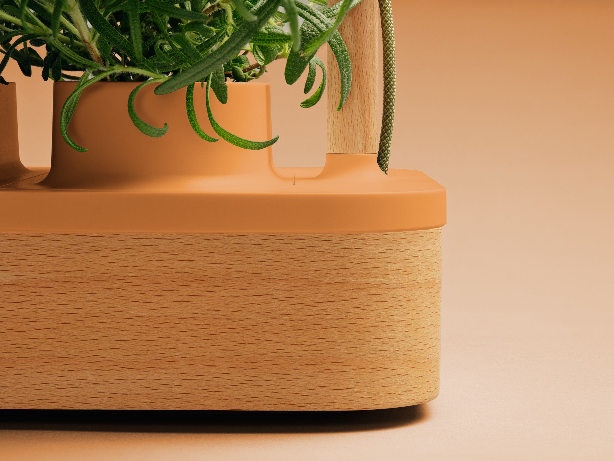Auk | Award-winning indoor smart gardens from Scandinavia