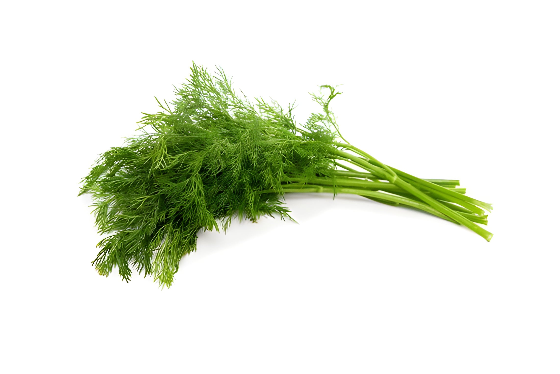 Dill
